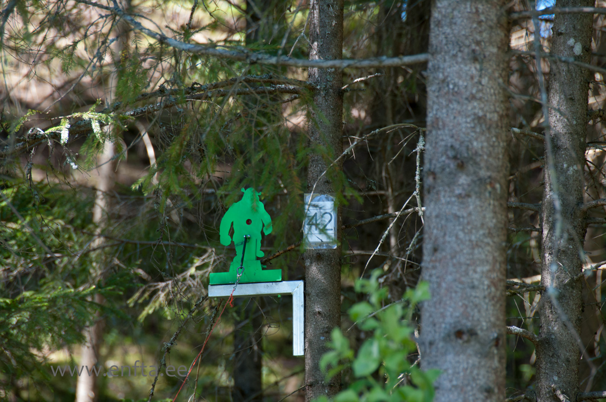 Target up on the tree